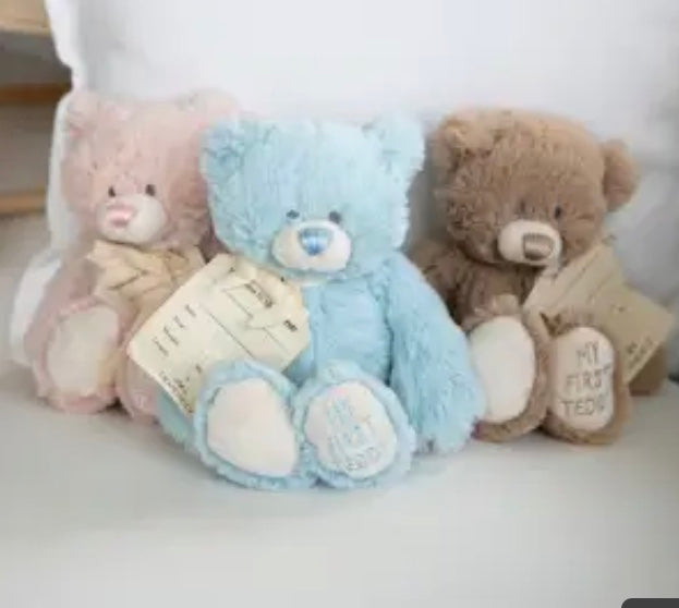 Baby’s First Teddy - Bear.     24cm