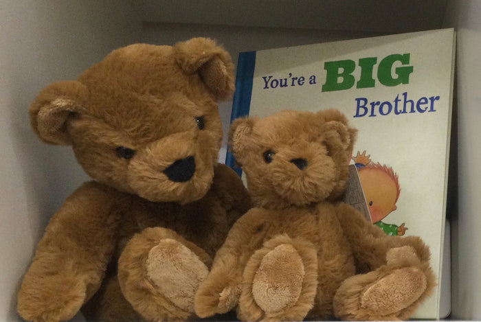 Big Brother  Gift Set - Book, Large plush toy/small plush toy