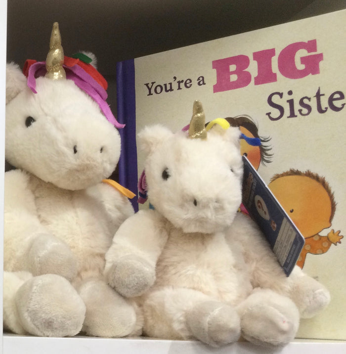 Big Brother  Gift Set - Book, Large plush toy/small plush toy