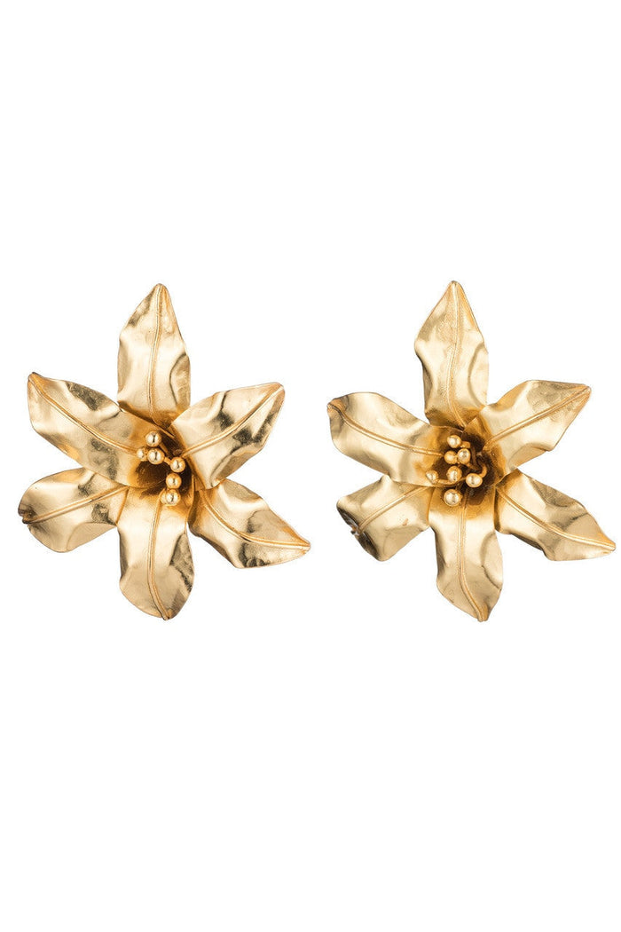 Gold Brass
