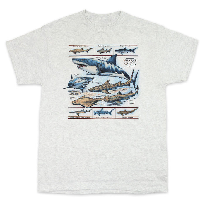 Field Guide To Sharks Adult Ash T-shirt