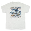 Field Guide To Sharks Adult Ash T-shirt