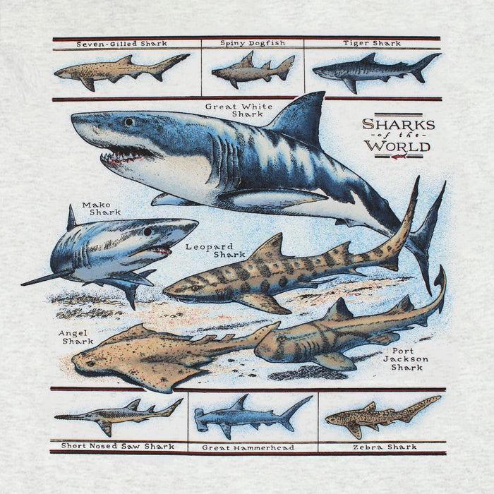 Field Guide To Sharks Adult Ash T-shirt