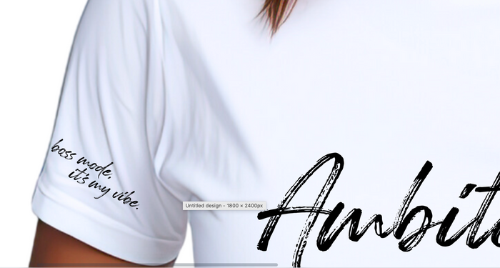 Graphic T-Shirts - AmBitchous