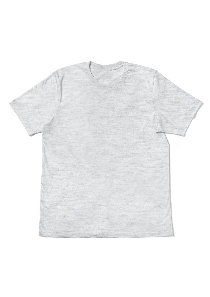 mens gray classic fit t-shirt short sleeve crew neck heather airlume cotton back flat image