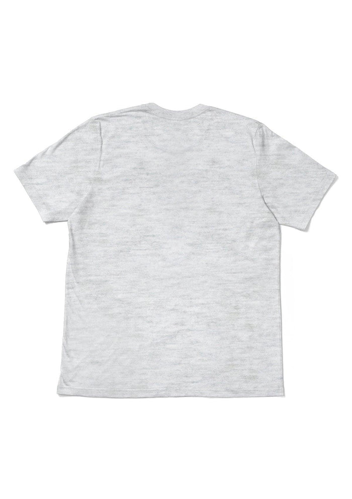 mens gray classic fit t-shirt short sleeve crew neck heather airlume cotton back flat image