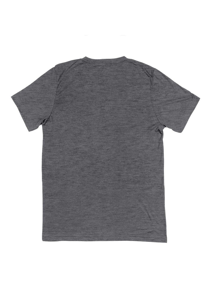 mens heather gray classic fit t-shirt short sleeve v-neck airlume cotton flat back image
