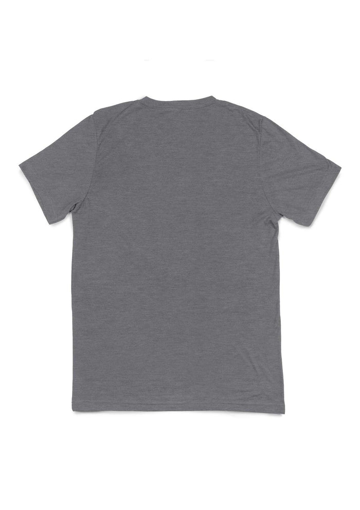 mens heather grey classic fit  t-shirt long sleeve v-neck heather airlume cotton flat back image