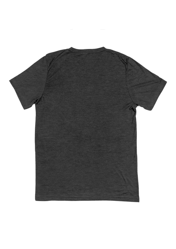 mens gray classic fit t-shirt short sleeve v- neck heather airlume cotton flat back image