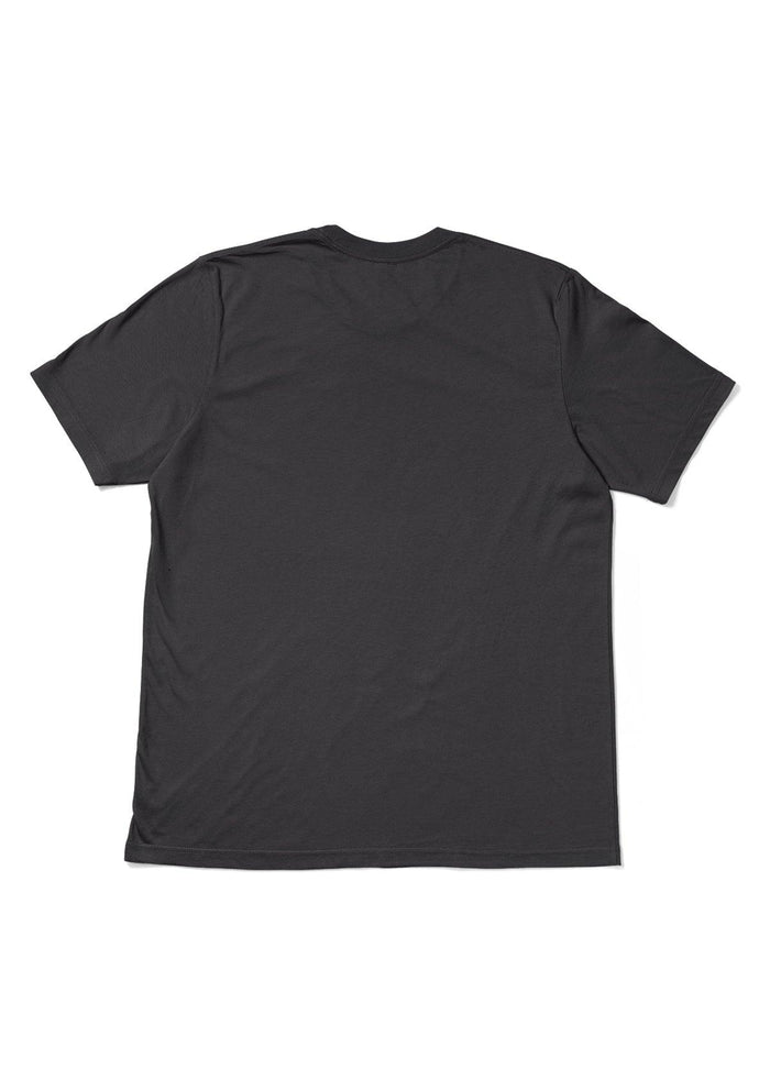 mens charcoal classic fit t-shirt crew neck short sleeve airlume cotton  back flat image