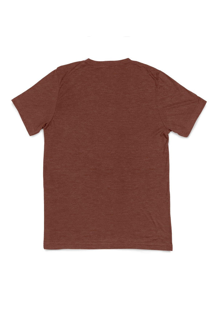 mens brown classic fit t-shirt short sleeve v-neck airlume cotton back flat view