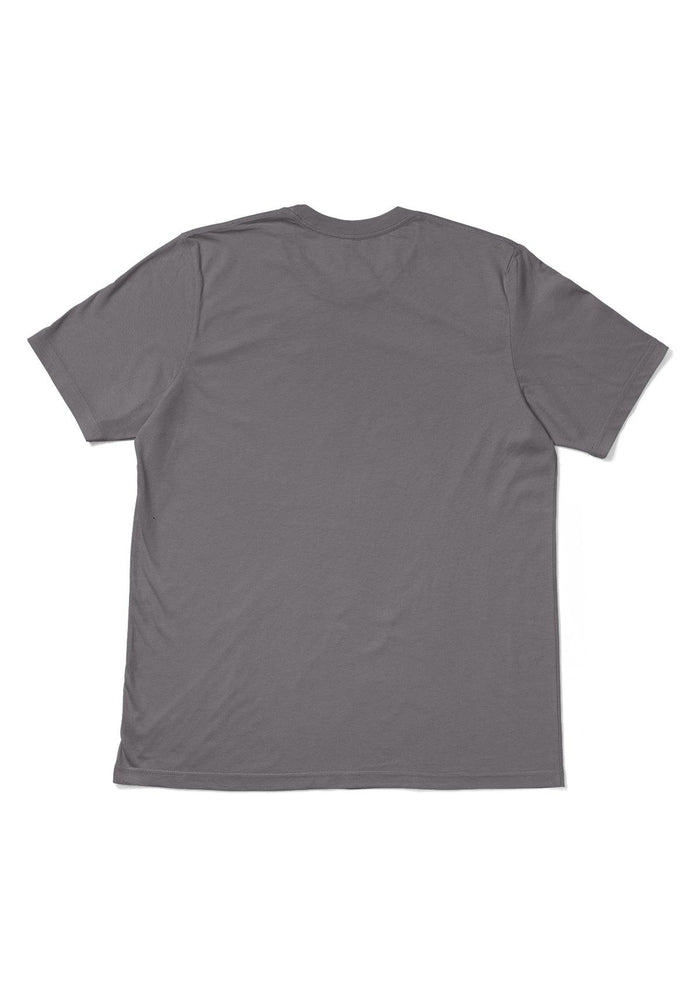 mens gray big and tall classic fit t-shirt  short sleeve crew neck airlume cotton back flat image