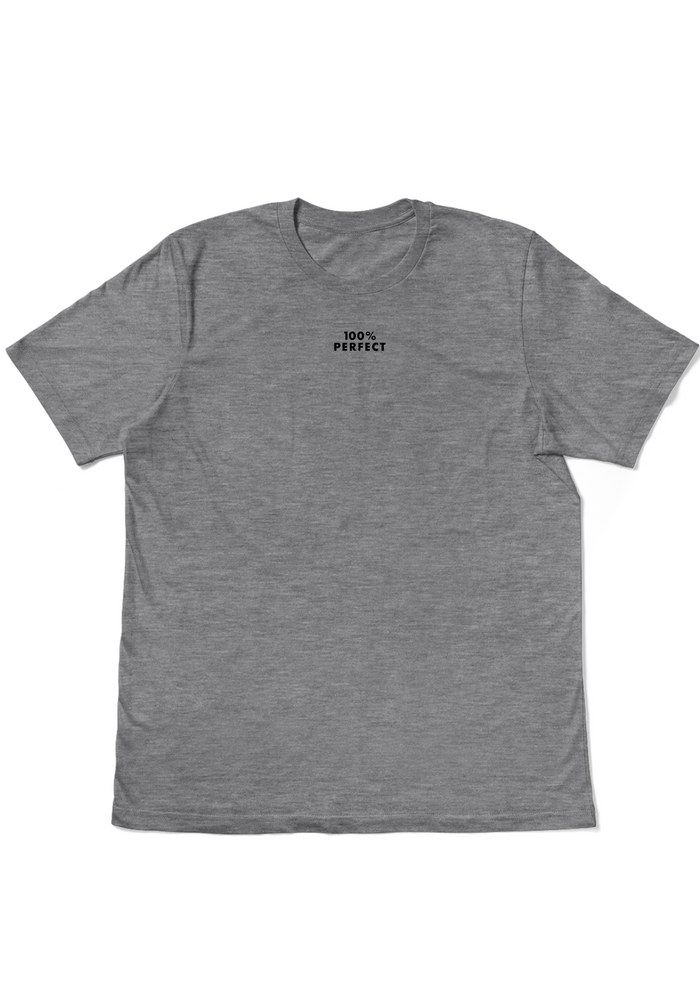 Men's Gray Swag T-Shirt - 100% Perfect