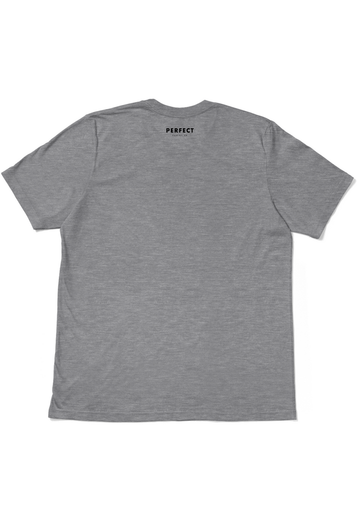 Men's Gray Swag T-Shirt - 100% Perfect
