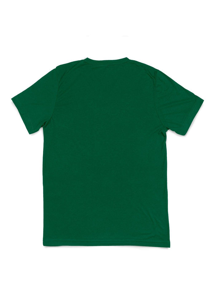 mens kelly green classic fit t-shirt short sleeve v-neck airlume cotton back flat view