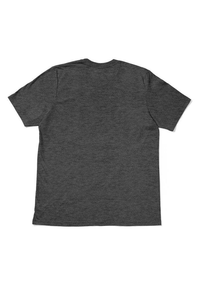 mens grayl classic fit t-shirt crew neck short sleeve heather airlume cotton  back flat image