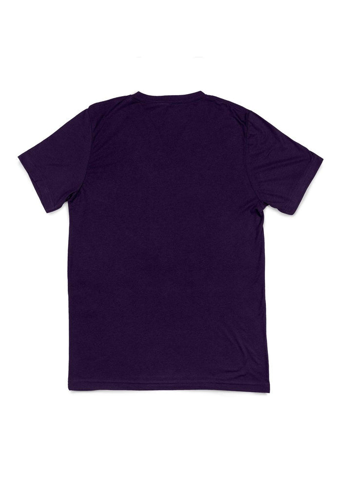 mens purple classic fit t-shirt v-neck short sleeve airlume cotton back flat image