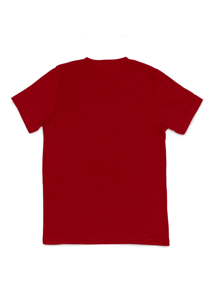 mens red classic fit t-shirts v-neck short sleeve airlume cotton back flat image