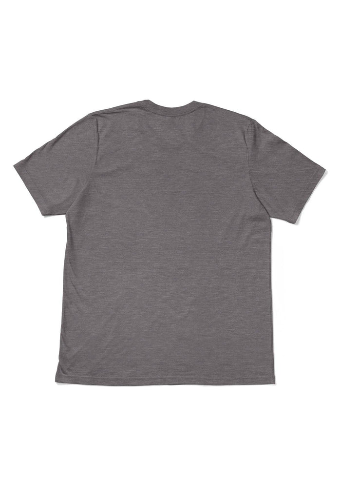 mens gray classic fit t-shirt short sleeve crew neck  airlume cotton back flat image
