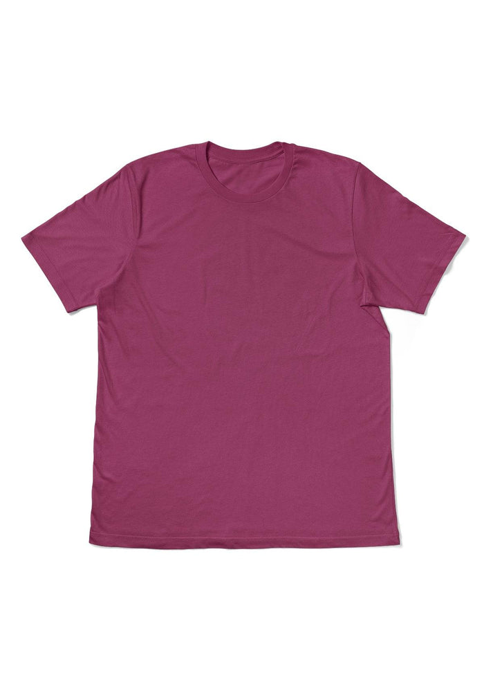 Pregnancy T-Shirt Bundle - 3 Colors - Perfect TShirt Co