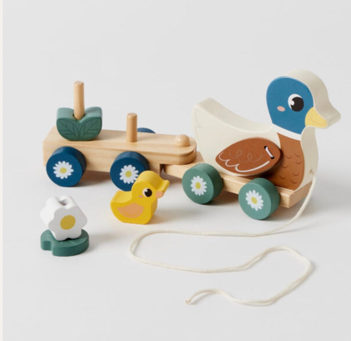 Pull along Duck train Set