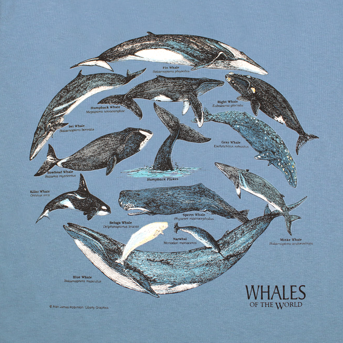 Whales Of The World Youth Indigo T-shirt