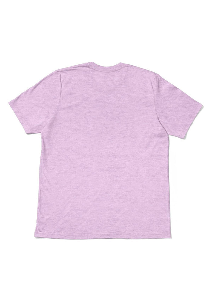 women purple lilac boyfriend cut t-shirt prism heather airlume cotton short sleeve back flat image